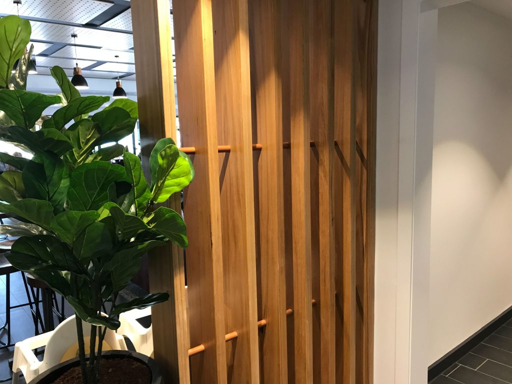 An indoor plan next to a wooden divider