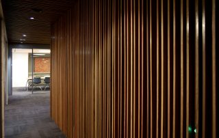 Wooden cedar walls in an office
