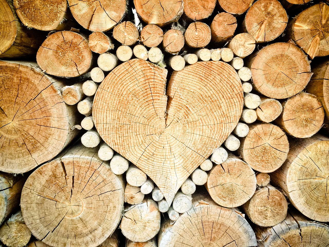 Wood - Heart